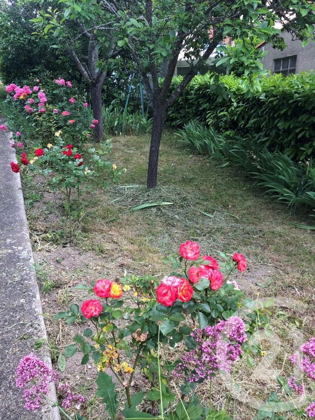 maison à vendre - 7 pièces - 146.4 m2 - CHATEL GUYON - 63 - AUVERGNE - Century 21 Agence Girard