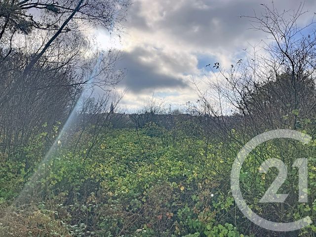 terrain à vendre - 3630.0 m2 - RIOM - 63 - AUVERGNE - Century 21 Agence Girard