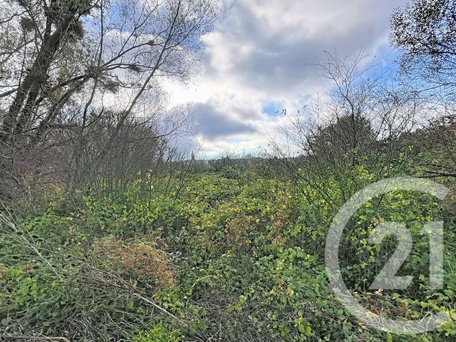 terrain à vendre - 3630.0 m2 - RIOM - 63 - AUVERGNE - Century 21 Agence Girard