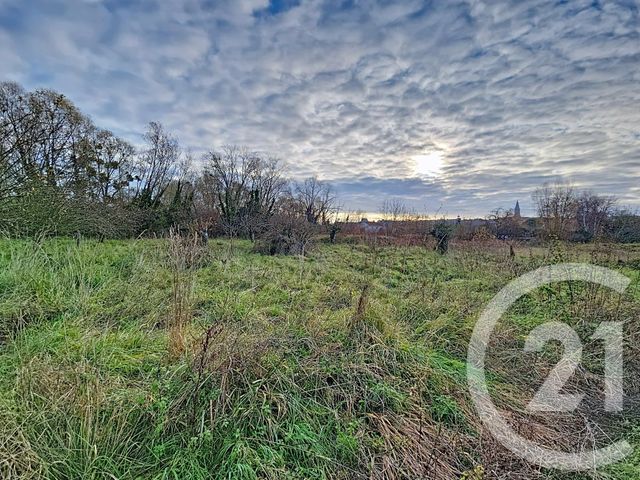 terrain à vendre - 3630.0 m2 - RIOM - 63 - AUVERGNE - Century 21 Agence Girard