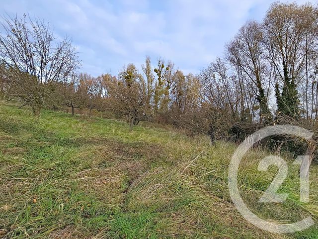 terrain à vendre - 3630.0 m2 - RIOM - 63 - AUVERGNE - Century 21 Agence Girard