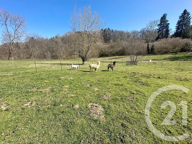 maison à vendre - 7 pièces - 180.0 m2 - CHAPDES BEAUFORT - 63 - AUVERGNE - Century 21 Agence Girard