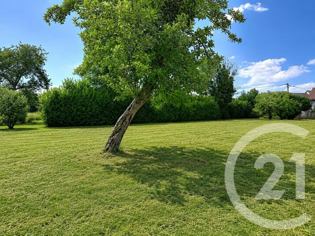 terrain à vendre - 1137.0 m2 - CHAPDES BEAUFORT - 63 - AUVERGNE - Century 21 Agence Girard